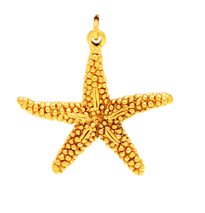 Giovanni Raspini charm pendant Stella Marine Silver 925 Pvd Gold Finish 8563