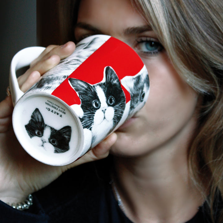 Tait ⁇  mug Cats Best Friends collection фарфоровая тонкая костная кита 14-1-4 CATS